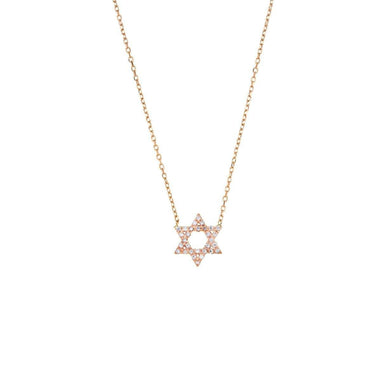 David Star Necklace- 14K gold with Diamond Necklaces Just Believe Jewelry