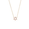 David Star Necklace- 14K gold with Diamond Necklaces Just Believe Jewelry